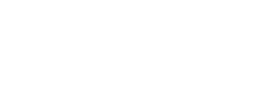 logo-website